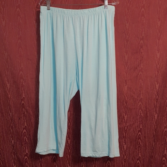 KIM ROGERS 2 PIECE SLEEPWEAR SET. POWDER BLUE SIZE L - Picture 3 of 7